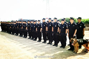 公安消防應急指揮(huī)調(diào)度系統解決方案